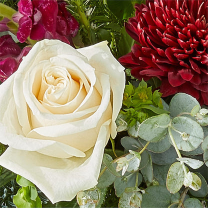 Cranberry Fizz Bouquet – WALTON FLORIST & GIFTS, Walton KY