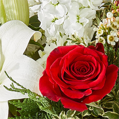 Twinkle Lights Bouquet – WALTON FLORIST & GIFTS, Walton KY
