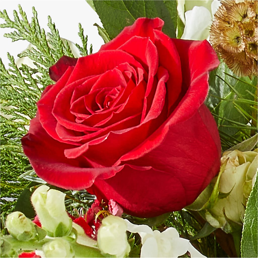 Deck the Halls Bouquet – WALTON FLORIST & GIFTS, Walton KY