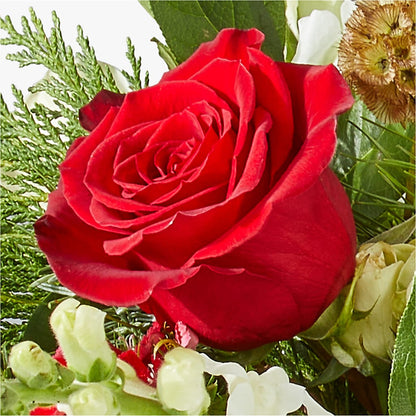 Deck the Halls Bouquet – WALTON FLORIST & GIFTS, Walton KY