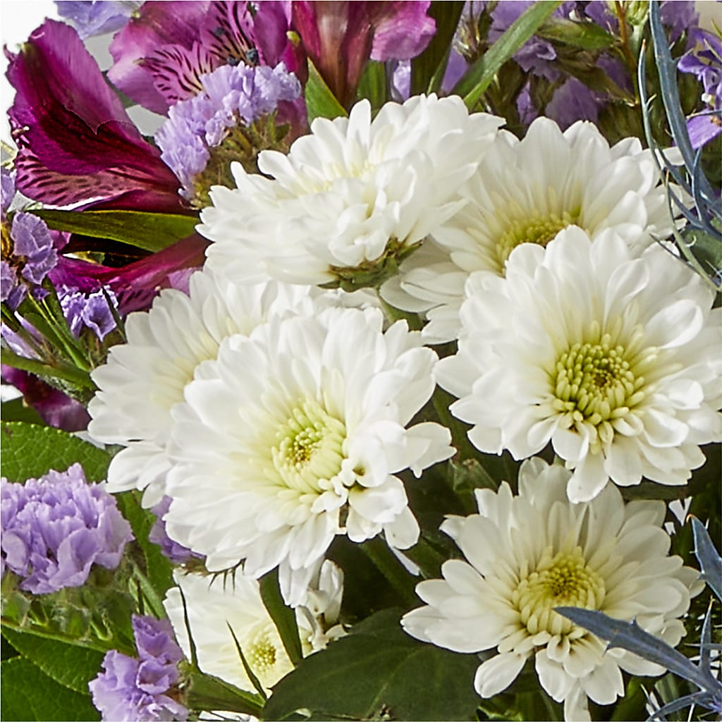 Shooting Star Bouquet – WALTON FLORIST & GIFTS, Walton KY