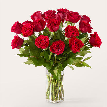 The One Red Rose Bouquet – WALTON FLORIST & GIFTS, Walton KY