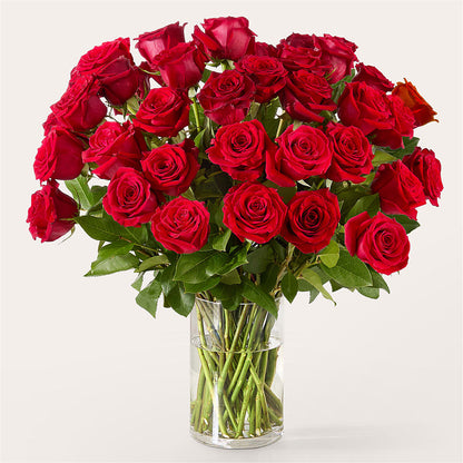 The One Red Rose Bouquet – WALTON FLORIST & GIFTS, Walton KY