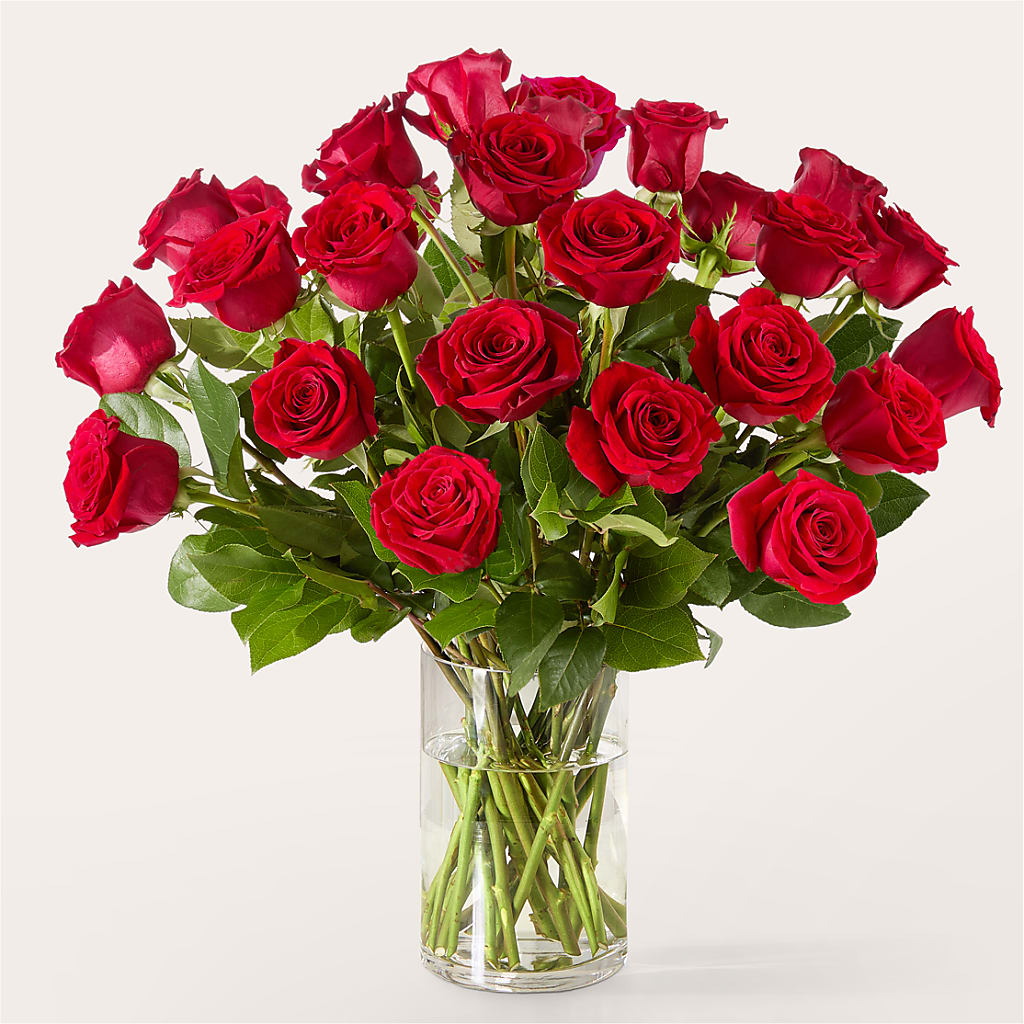 The One Red Rose Bouquet – WALTON FLORIST & GIFTS, Walton KY