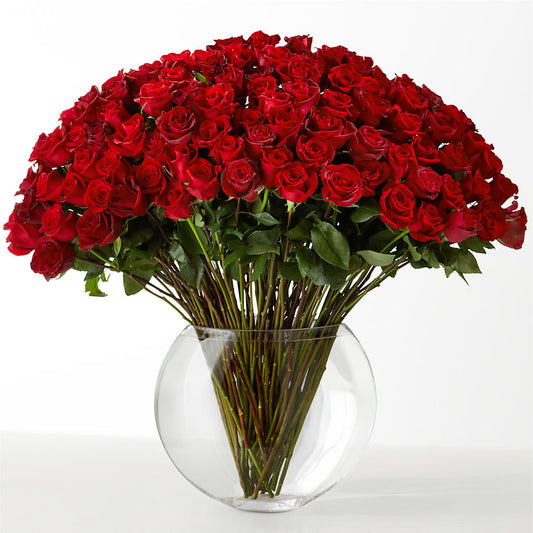 The Idealist – WALTON FLORIST & GIFTS, Walton KY