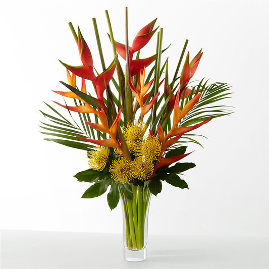 The Drama – WALTON FLORIST & GIFTS, Walton KY