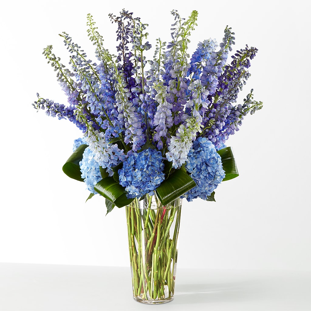 The Editorial – WALTON FLORIST & GIFTS, Walton KY
