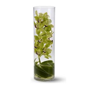 Zen_Inspirations – WALTON FLORIST & GIFTS, Walton KY
